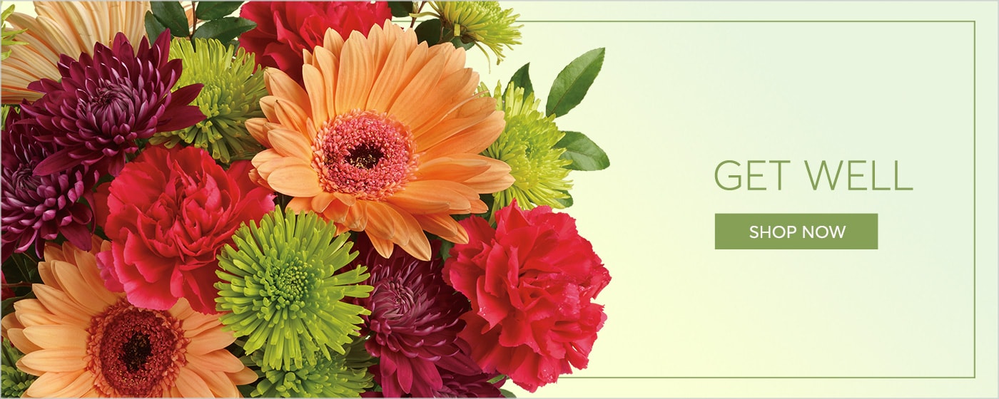 Get Well Flowers Delivery - Send Get Well Flowers